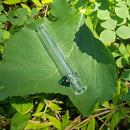 Short N Glass Chillum | Sweet Mini Glass Chillum | Chillumz