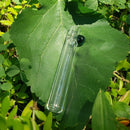 Short N Glass Chillum | Sweet Mini Glass Chillum | Chillumz